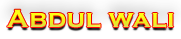 Abdul Wali