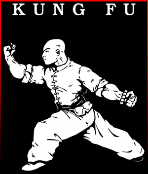 kung fu training in delhi